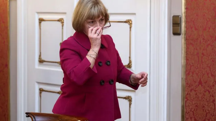 HNS mora samostalno izaći na izbore za Europski parlament