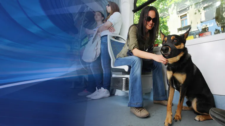 &Scaron;to kažete na kućne ljubimce u javnom prijevozu?