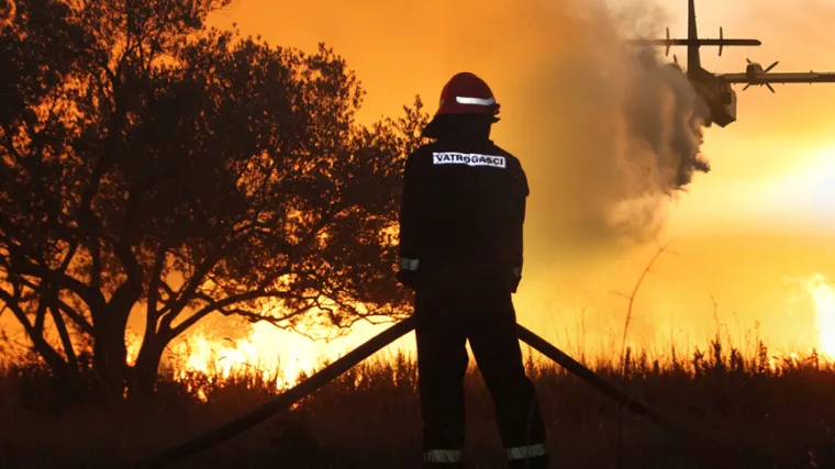Trideset vatrogasaca gasilo borovu &scaron;umu na &Scaron;olti!