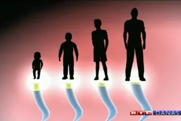 Prehrana je bitna: Doznajte kako si produljiti život!