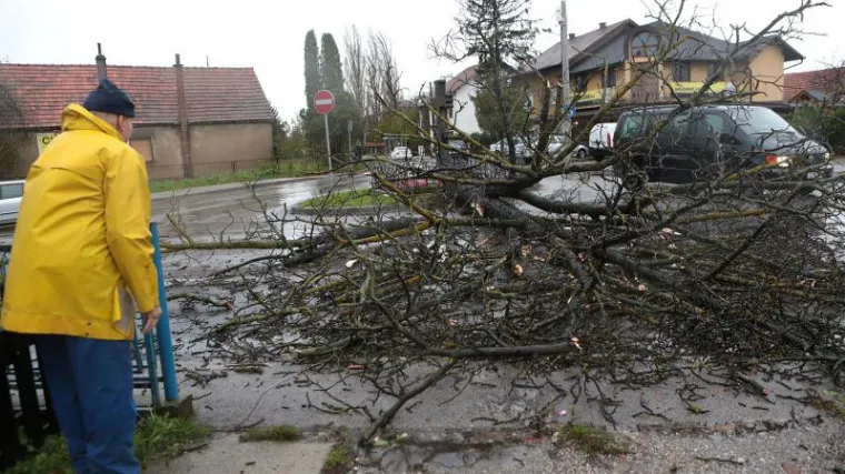 Bura u Splitu ru&scaron;ila stabla, o&scaron;tećena tri vozila
