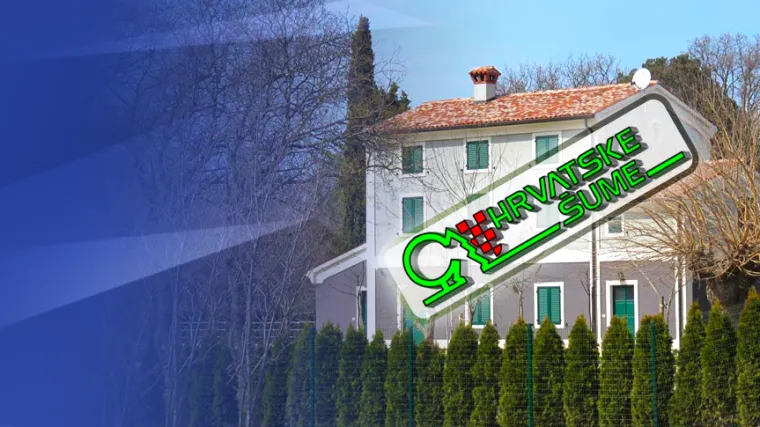 Uhićenja u Hrvatskim šumama zbog zloporabe položaja i ovlasti