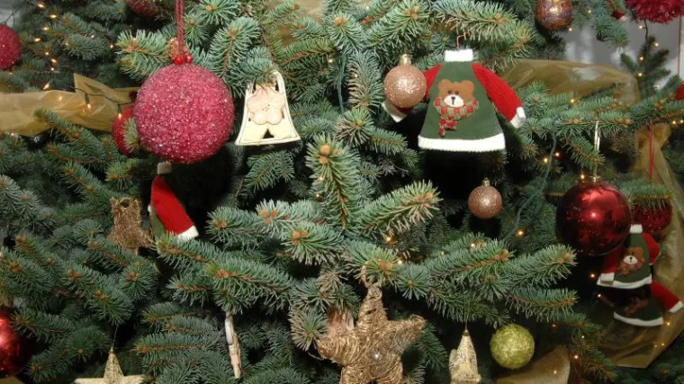 Nevjerojatno: Političari im ukrali Božić!