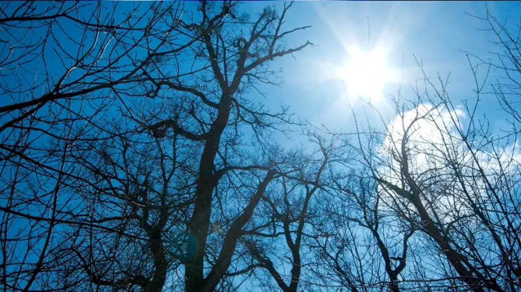 Zime nema na vidiku: Temperature iznad 15 stupnjeva