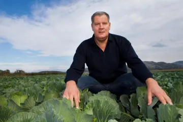 Gabrić Jambo: I ovu optužnicu mogu objesiti mačku o rep!