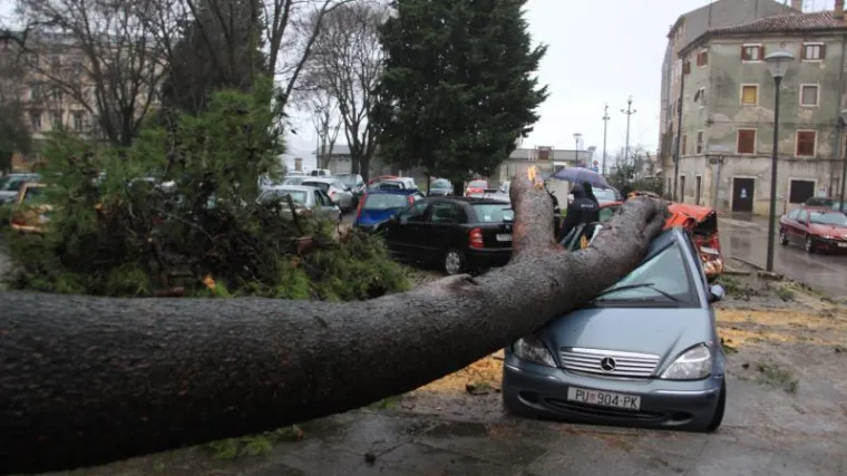 Ogroman bor uni&scaron;tio &scaron;est parkiranih automobila