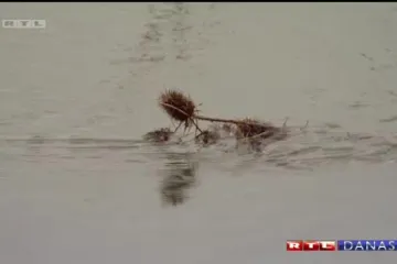 Sutra se očekuje vrhunac vodenog vala