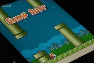 Svijet do granice ludila dovela jedna debeljuškasta ptica!