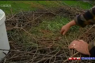 Klepetan se vratio Malenoj na isti dan kao prošle godine