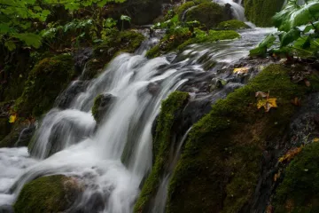 Hoćemo li uništiti ljepotu Plitvičkih jezera?