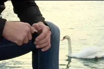 Kristijan Curavić čisti smeće!