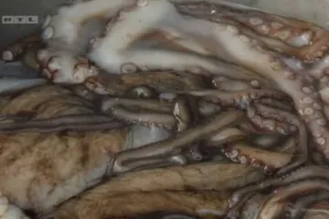 'Tajni' bakin recept za slasnu hobotnicu