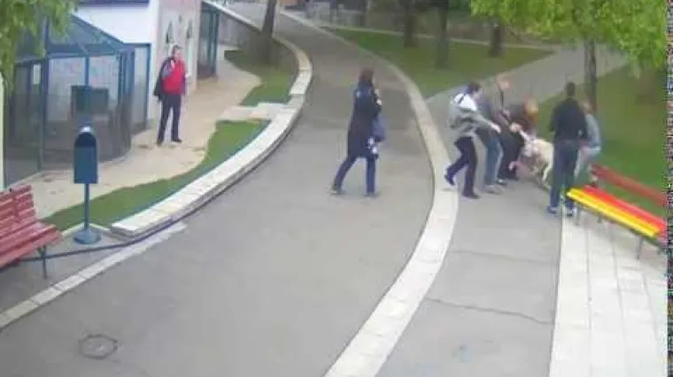 Objavljena jeziva snimka napada vuka u zoolo&scaron;kom vrtu