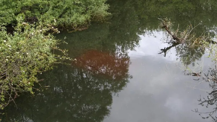 Izvukli auto s mrtvim tijelom, radi li se o biv&scaron;em gradonačelniku?