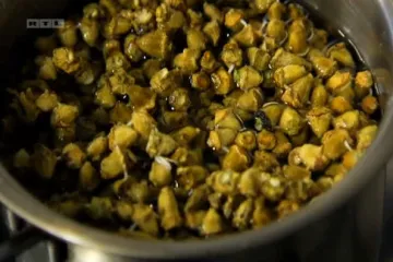 U Bosni znaju što je bamija i kako se priprema