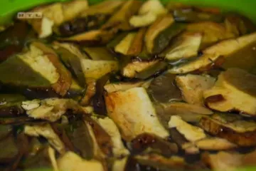 Gljive su jedan poseban svijet u kulinarstvu