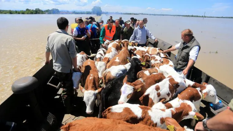'Stradalnicima u poplavi je potrebna psihosocijalna pomoć!'