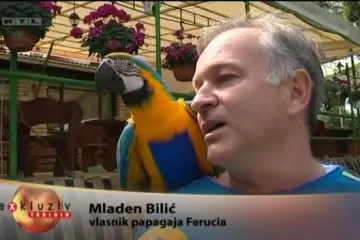 Za njim se okreću baš svi!