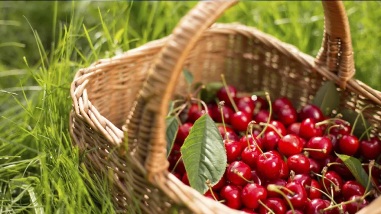 Hoćemo li voće i povrće uskoro plaćati jeftinije?