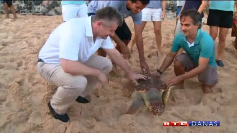 Kornjača Cabecao predviđa rezultate