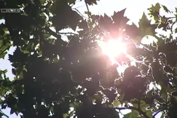 Izdano upozorenje za toplinski val u Hrvatskoj