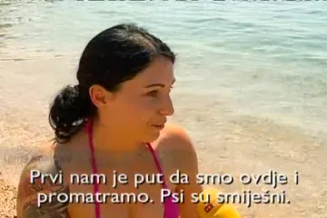 Kako naši čupavi ljubimci preživljavaju ove pasje vrućine?