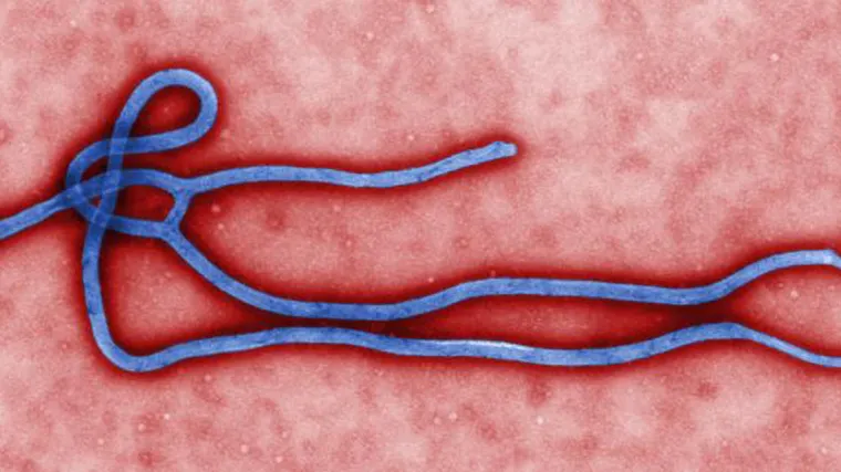 Ebola izmakla kontroli: Posljedice bi mogle biti katastrofalne!