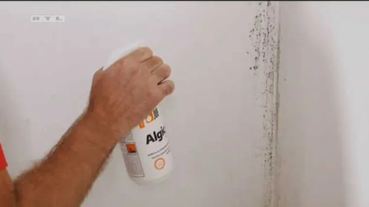 Kako zidovima vratiti stari sjaj i riješiti se ružnih crnih fleka?