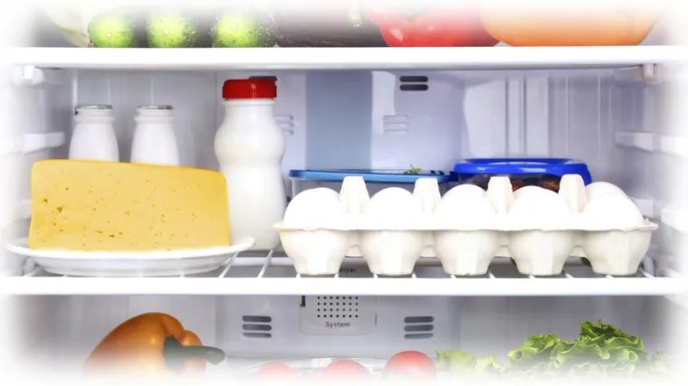 Baciti ili pojesti? Što bez straha smijemo konzumirati?