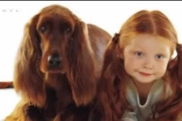 Koliko psi uistinu sliče svojim vlasnicima?