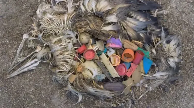 Novi kontinent smeća prijeti životu na Zemlji!