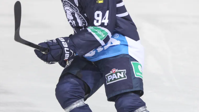 Hedberg u debiju iz snova donio pobjedu Medvjedima