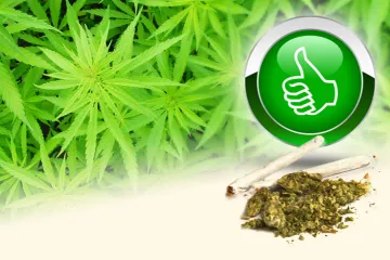 Hrvatska na korak do legalizacije marihuane?