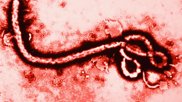 Broj mrtvih u epidemiji ebole porastao na zastra&scaron;ujićih 5.420!