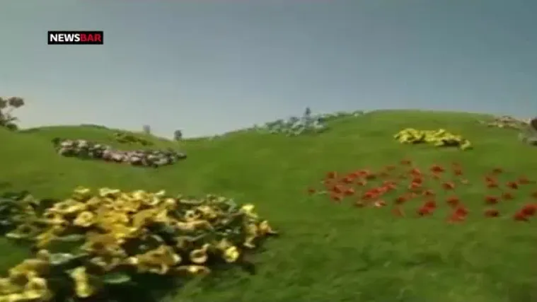 Predsjednici Teletabisi - Hrvatska