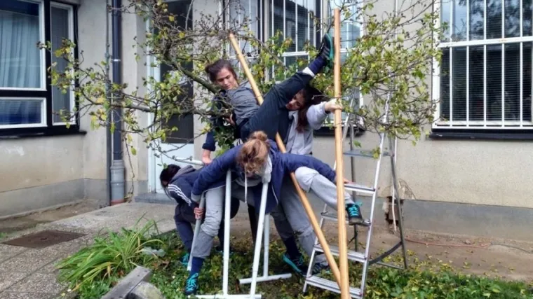 Koncerti, predstave i filmovi besplatno u SC-u!