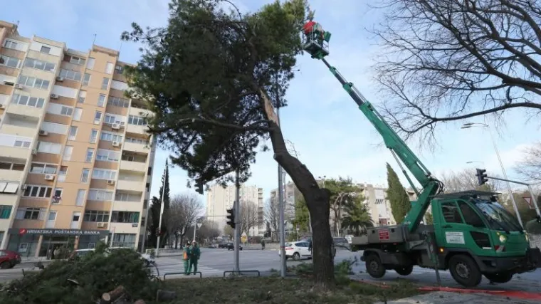 Orkanska bura u Splitu lomila stabla, o&scaron;tećeno nekoliko vozila
