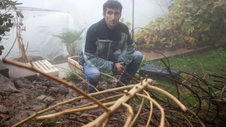 'Od ekstrakta konoplje kao da sam se digao iz mrtvih'