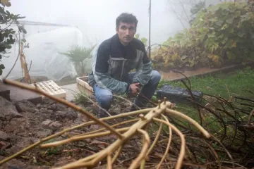 'Od ekstrakta konoplje kao da sam se digao iz mrtvih'