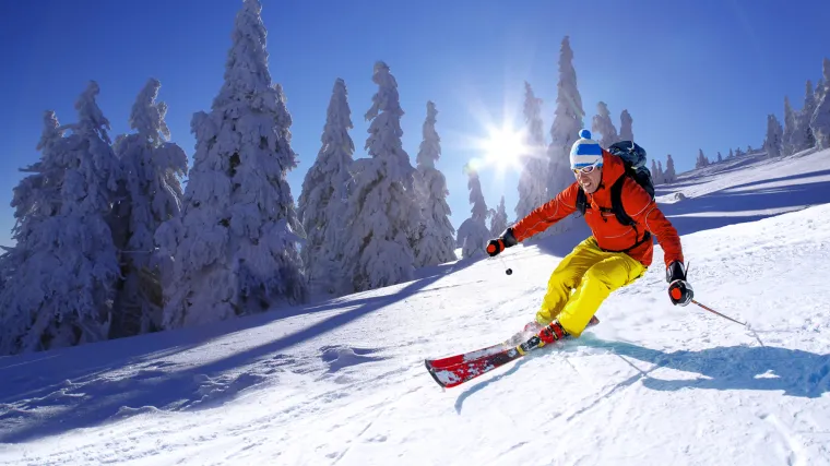 Volite li zimu IN ili OUT?