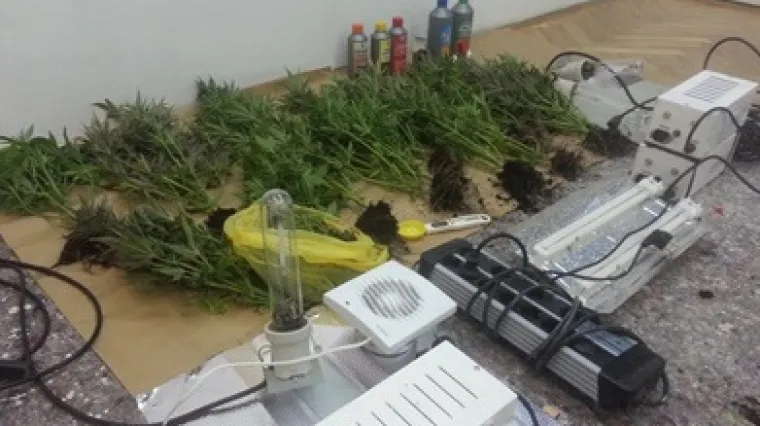 Policija uhitila jo&scaron; jednog 'agronoma': U potkrovlju uzgajao marihuanu