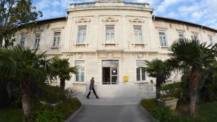 Smiruju situaciju: 'Nema opasnosti od epidemije šarlaha'