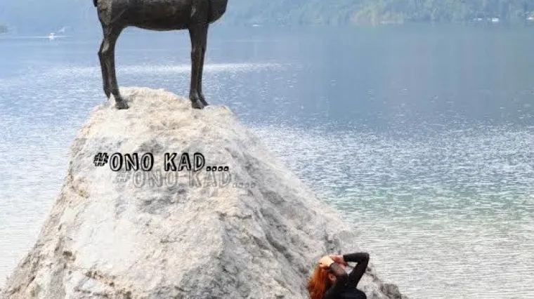 Nije stra&scaron;no kad padne&scaron; s konja na magarca nego kad padne&scaron; s magarca!