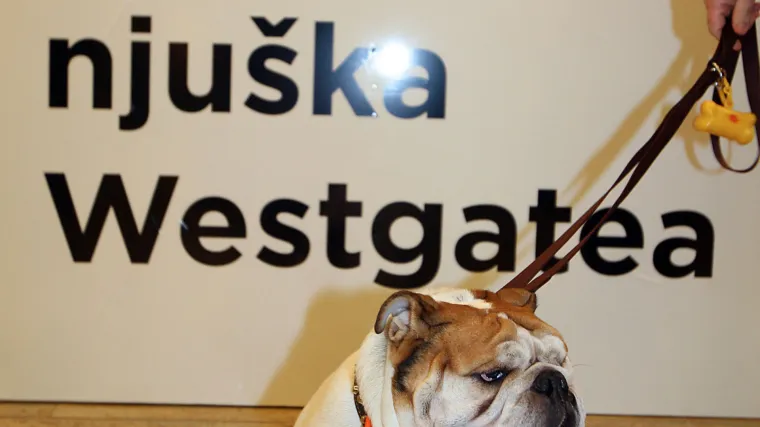 Raj za ljubitelje životinja: Sajam kućnih ljubimaca stiže u Westgate!