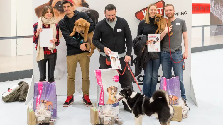 Izabrana Glavna nju&scaron;ka Westgatea!