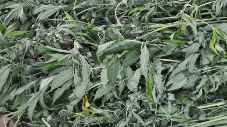 'Nije to ni&scaron;ta posebno, uporaba droga u medicini regulirana je jo&scaron; odavno'