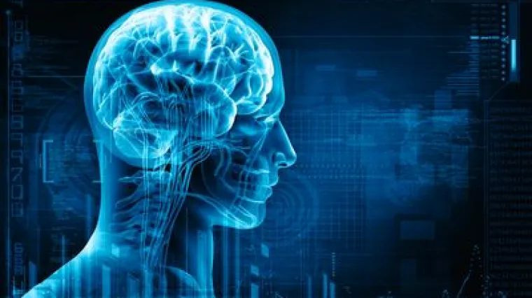 S godinama ne postajemo samo mudriji, već i inteligentniji