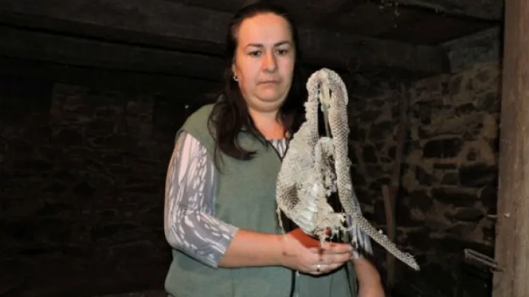 'Kuća nam je puna zmija koje pla&scaron;e na&scaron;u dvogodi&scaron;nju curicu!'