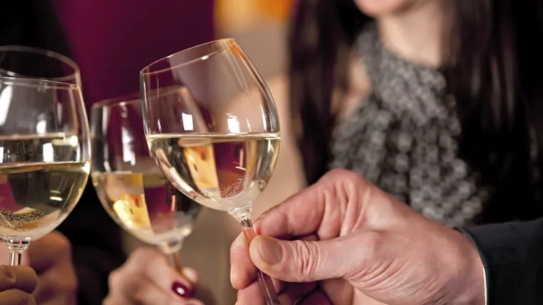 Okuse li alkohol prije &scaron;estog razreda, djeca će se opiti već do srednje?