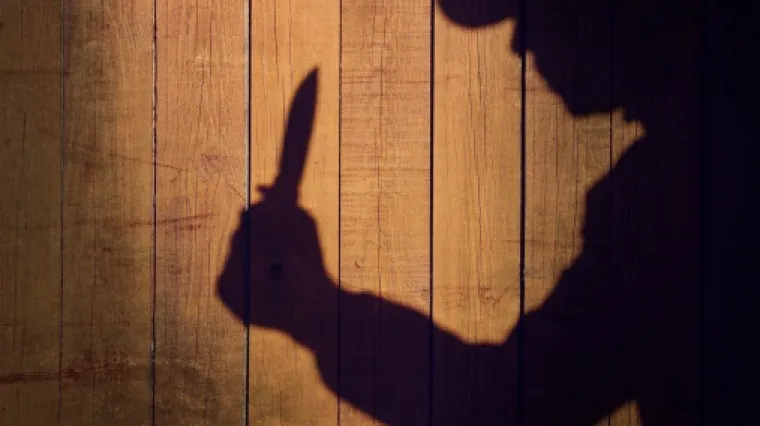 Dva odvojena, ali identična zločina: mu&scaron;karci tijekom vikenda ubili vlastite majke!